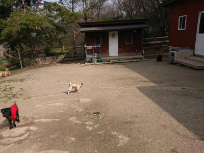 f:id:roukenhome-ann:20190407184609j:plain