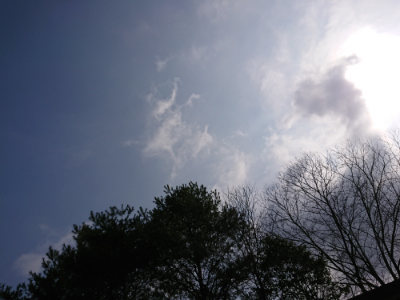 f:id:roukenhome-ann:20190407184620j:plain