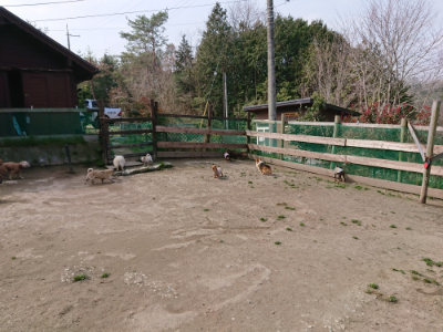 f:id:roukenhome-ann:20190407184733j:plain