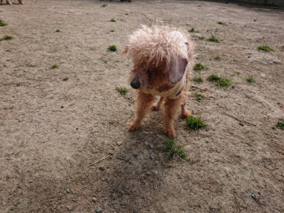f:id:roukenhome-ann:20190407184743j:plain