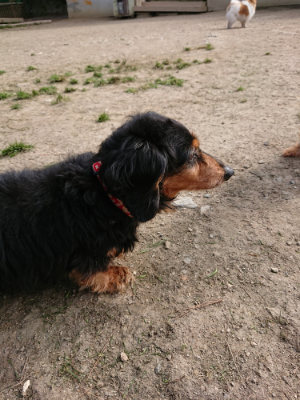 f:id:roukenhome-ann:20190407184750j:plain