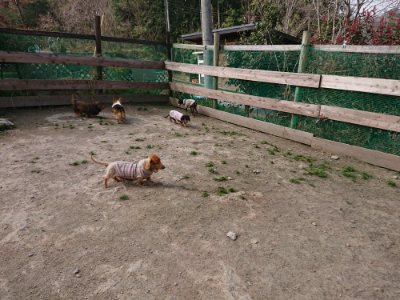 f:id:roukenhome-ann:20190407184758j:plain