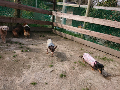 f:id:roukenhome-ann:20190407184806j:plain