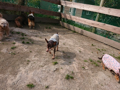 f:id:roukenhome-ann:20190407184842j:plain