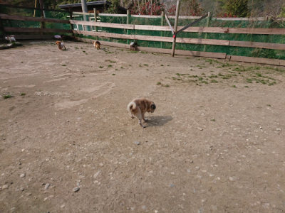 f:id:roukenhome-ann:20190407184901j:plain