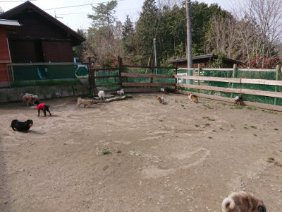 f:id:roukenhome-ann:20190407184907j:plain
