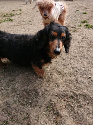 f:id:roukenhome-ann:20190407184919j:plain