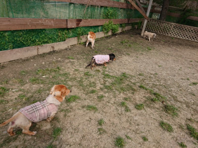 f:id:roukenhome-ann:20190407184949j:plain