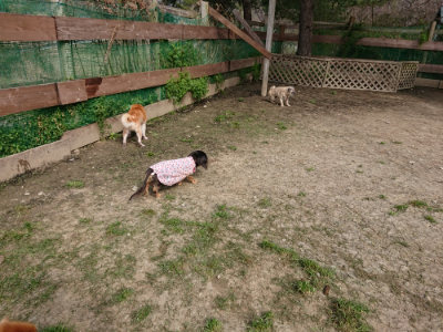 f:id:roukenhome-ann:20190407184955j:plain