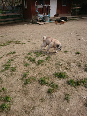 f:id:roukenhome-ann:20190407185001j:plain