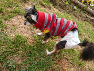 f:id:roukenhome-ann:20190407190319j:plain f:id:roukenhome-ann:20190407190319j:plain