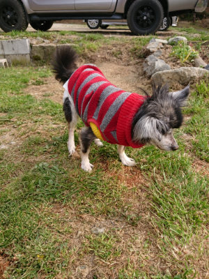 f:id:roukenhome-ann:20190407190345j:plain f:id:roukenhome-ann:20190407190345j:plain