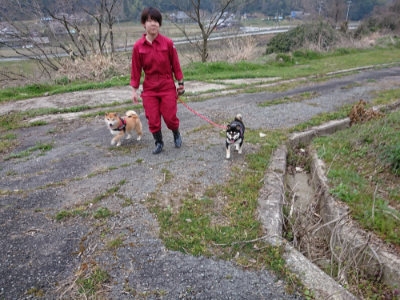 f:id:roukenhome-ann:20190407190417j:plain f:id:roukenhome-ann:20190407190417j:plain