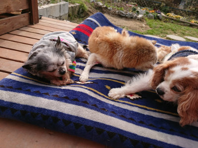 f:id:roukenhome-ann:20190407190719j:plain f:id:roukenhome-ann:20190407190719j:plain