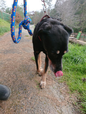 f:id:roukenhome-ann:20190407190743j:plain f:id:roukenhome-ann:20190407190743j:plain