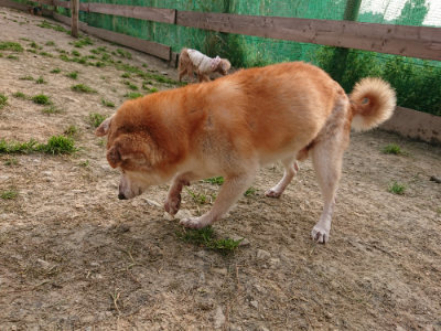 f:id:roukenhome-ann:20190407190942j:plain f:id:roukenhome-ann:20190407190942j:plain