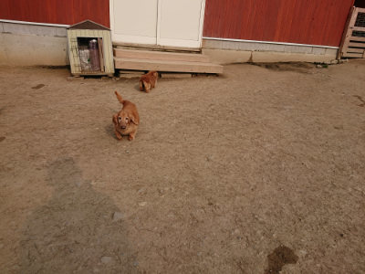 f:id:roukenhome-ann:20190407191039j:plain f:id:roukenhome-ann:20190407191039j:plain