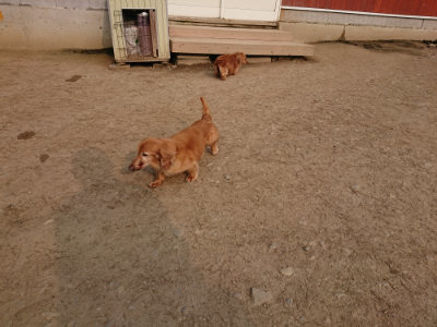 f:id:roukenhome-ann:20190407191043j:plain f:id:roukenhome-ann:20190407191043j:plain
