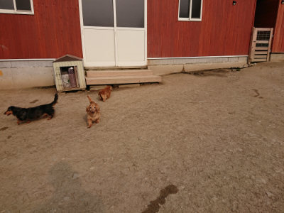 f:id:roukenhome-ann:20190407191130j:plain f:id:roukenhome-ann:20190407191130j:plain