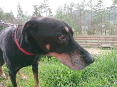 f:id:roukenhome-ann:20190407191137j:plain f:id:roukenhome-ann:20190407191137j:plain