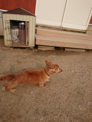 f:id:roukenhome-ann:20190407191156j:plain f:id:roukenhome-ann:20190407191156j:plain