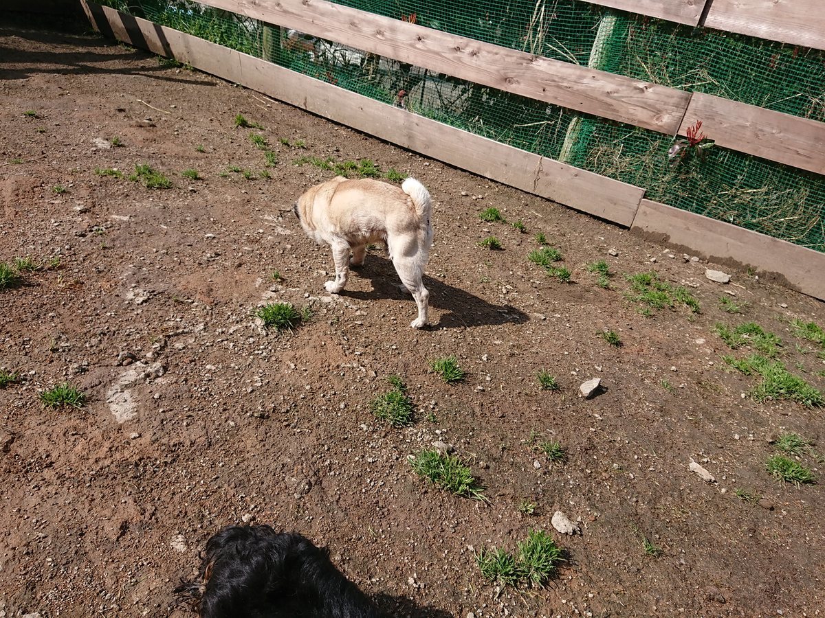 f:id:roukenhome-ann:20190408153634j:plain f:id:roukenhome-ann:20190408153634j:plain