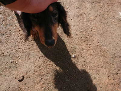f:id:roukenhome-ann:20190408153655j:plain f:id:roukenhome-ann:20190408153655j:plain