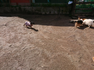 f:id:roukenhome-ann:20190408153714j:plain f:id:roukenhome-ann:20190408153714j:plain