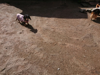 f:id:roukenhome-ann:20190408153719j:plain f:id:roukenhome-ann:20190408153719j:plain