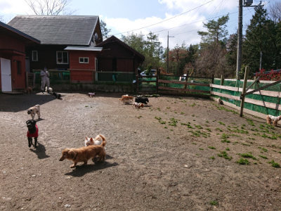 f:id:roukenhome-ann:20190408153732j:plain f:id:roukenhome-ann:20190408153732j:plain