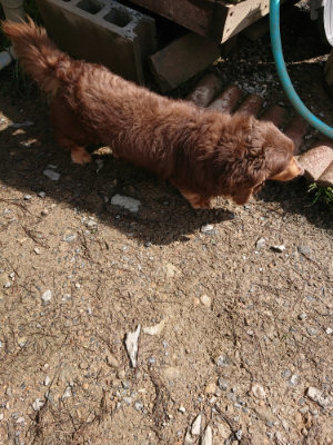 f:id:roukenhome-ann:20190408153738j:plain f:id:roukenhome-ann:20190408153738j:plain