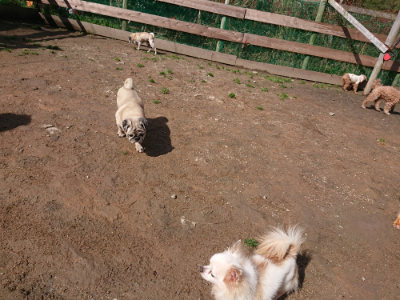 f:id:roukenhome-ann:20190408153849j:plain f:id:roukenhome-ann:20190408153849j:plain