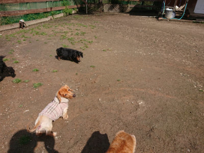f:id:roukenhome-ann:20190408153901j:plain f:id:roukenhome-ann:20190408153901j:plain