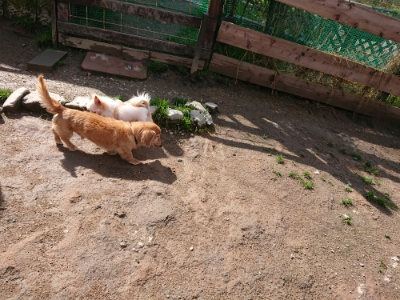 f:id:roukenhome-ann:20190408153925j:plain f:id:roukenhome-ann:20190408153925j:plain
