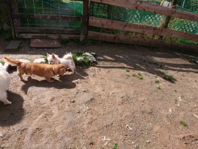 f:id:roukenhome-ann:20190408153933j:plain f:id:roukenhome-ann:20190408153933j:plain