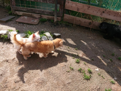 f:id:roukenhome-ann:20190408153945j:plain f:id:roukenhome-ann:20190408153945j:plain