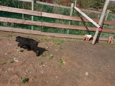 f:id:roukenhome-ann:20190408154008j:plain f:id:roukenhome-ann:20190408154008j:plain