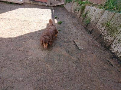 f:id:roukenhome-ann:20190408154022j:plain f:id:roukenhome-ann:20190408154022j:plain