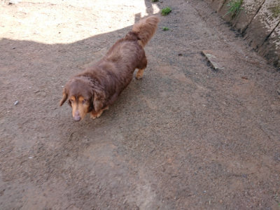 f:id:roukenhome-ann:20190408154108j:plain f:id:roukenhome-ann:20190408154108j:plain
