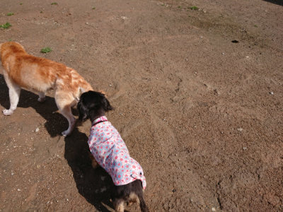 f:id:roukenhome-ann:20190408154214j:plain f:id:roukenhome-ann:20190408154214j:plain
