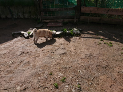 f:id:roukenhome-ann:20190408180215j:plain f:id:roukenhome-ann:20190408180215j:plain