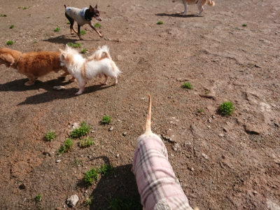 f:id:roukenhome-ann:20190408180304j:plain f:id:roukenhome-ann:20190408180304j:plain