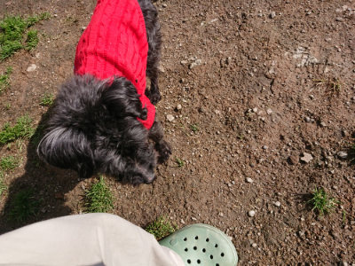 f:id:roukenhome-ann:20190408180410j:plain f:id:roukenhome-ann:20190408180410j:plain