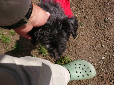 f:id:roukenhome-ann:20190408180417j:plain f:id:roukenhome-ann:20190408180417j:plain