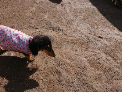 f:id:roukenhome-ann:20190408180431j:plain f:id:roukenhome-ann:20190408180431j:plain