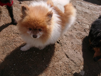 f:id:roukenhome-ann:20190408180559j:plain f:id:roukenhome-ann:20190408180559j:plain