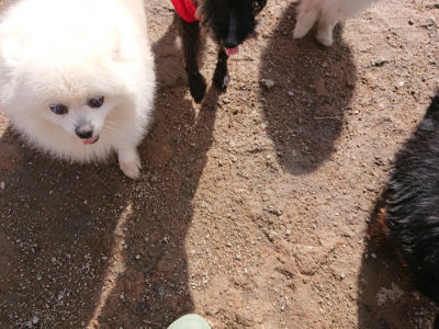f:id:roukenhome-ann:20190408180606j:plain f:id:roukenhome-ann:20190408180606j:plain
