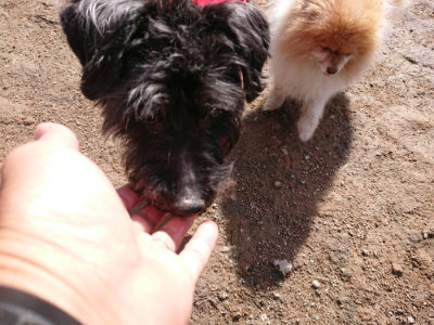 f:id:roukenhome-ann:20190408180642j:plain f:id:roukenhome-ann:20190408180642j:plain