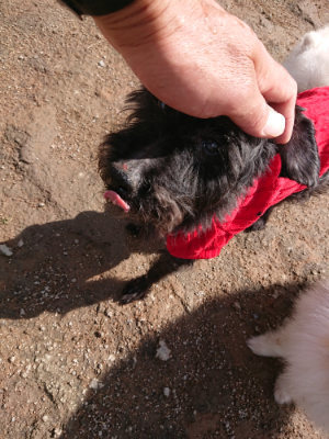 f:id:roukenhome-ann:20190408180653j:plain f:id:roukenhome-ann:20190408180653j:plain