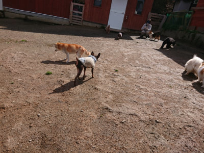 f:id:roukenhome-ann:20190408180713j:plain f:id:roukenhome-ann:20190408180713j:plain
